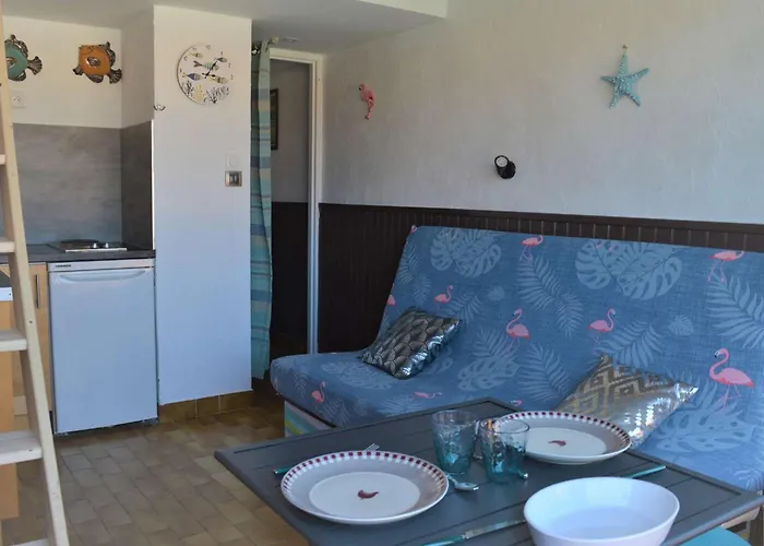 Mezzanine 2 Couchages Port Naturisme Pl010-832 *