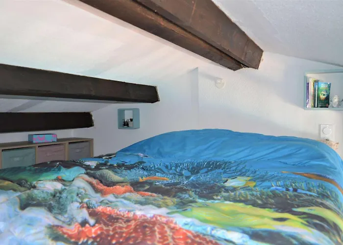 Mezzanine 2 Couchages Port Naturisme Pl010-832 *