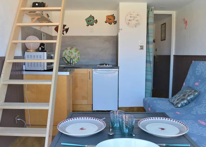 Mezzanine 2 Couchages Port Naturisme Pl010-832 Daire *